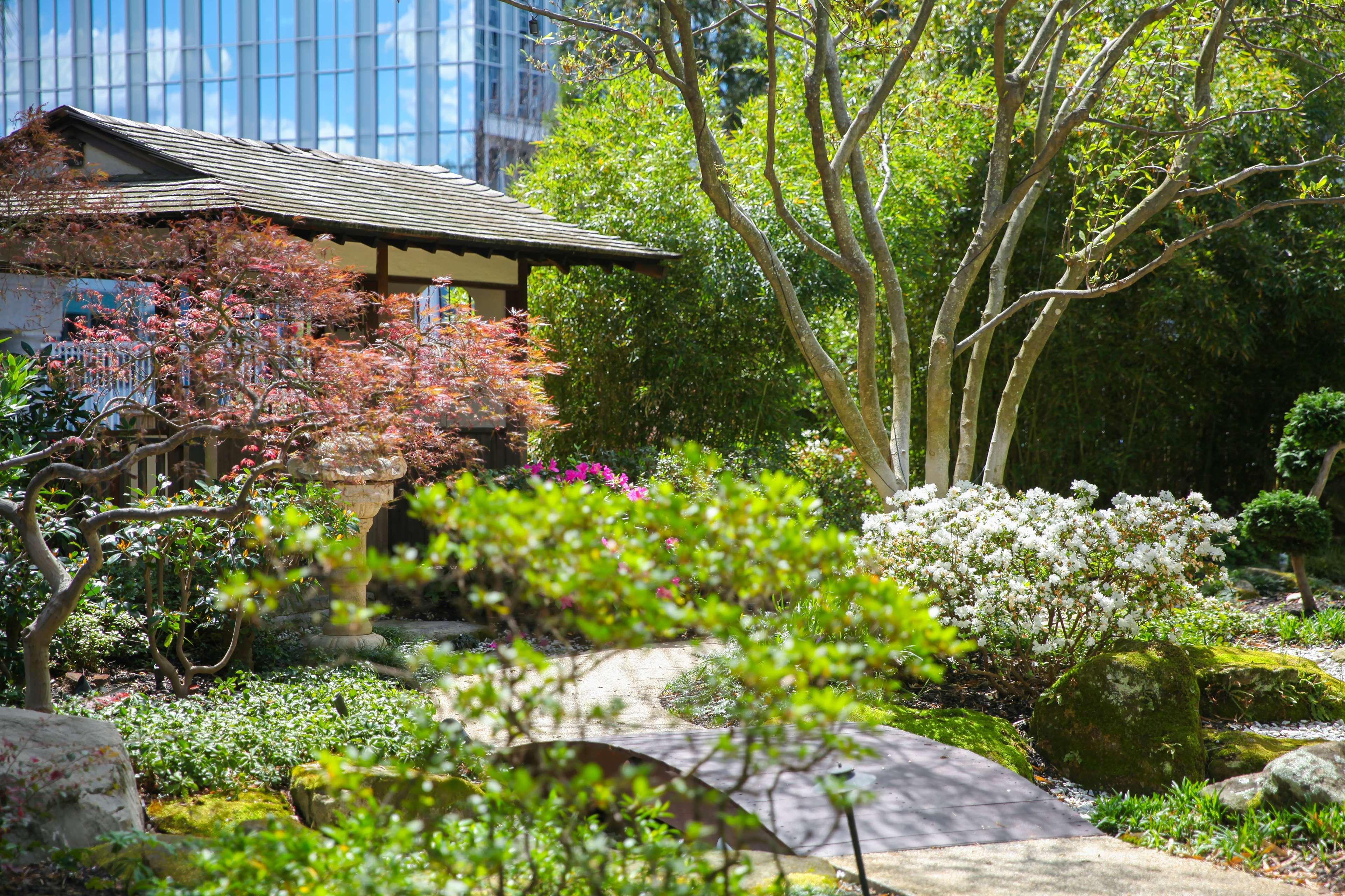 Grand Hyatt Atlanta In Buckhead Hotel Luaran gambar